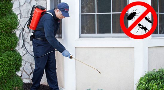 Erdemli Kene İlaçlama böcek ilaçlama ve haşere kontrolü — ilaclama-tr.com